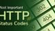 Basic HTTP Code yang harus dipahami 12 Basic HTTP Code yang harus dipahami