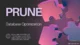 Prune dalam Database: Mengoptimalkan Kinerja dengan Pemangkasan Data yang Tidak Diperlukan